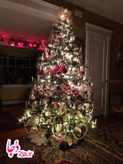 درخت کریسمس 