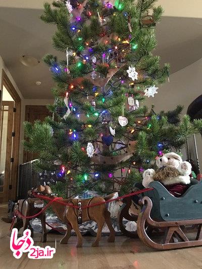 درخت کریسمس 